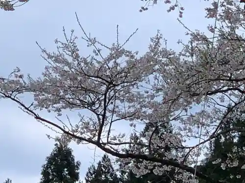 淡墨観音の自然