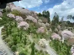 善峯寺(京都府)