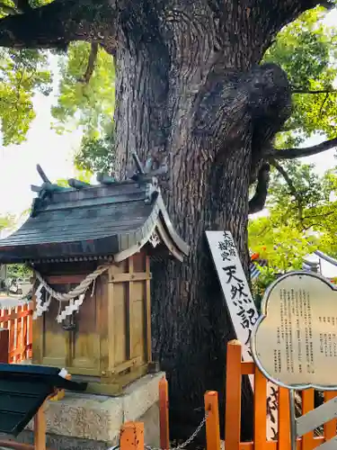 百舌鳥八幡宮(大阪府)