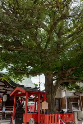 大宮神社(大阪府)