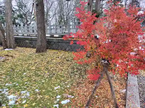 上川神社の庭園