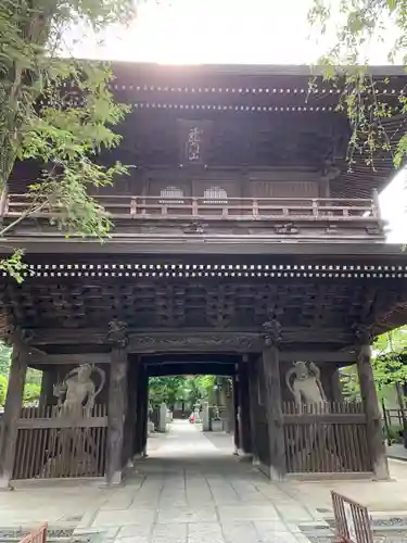 高安寺の山門