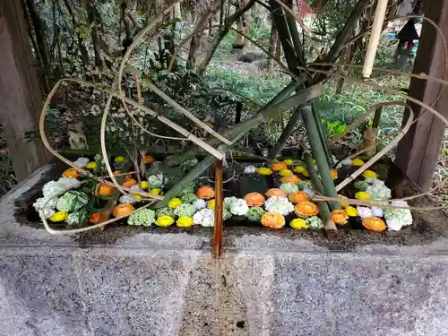 今市瀧尾神社(栃木県)