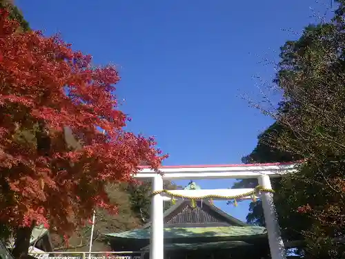 鎌倉宮のその他建物