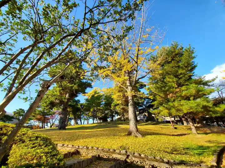 麓山神社の自然