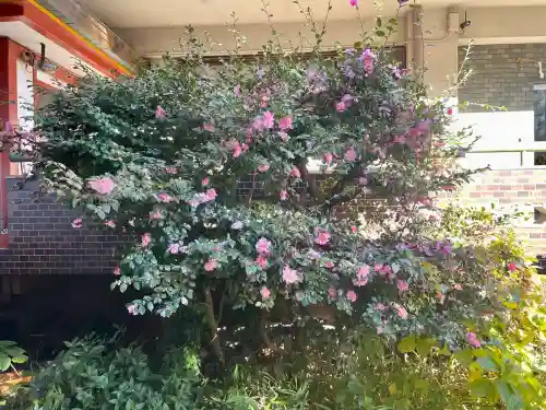 大森神社(東京都)