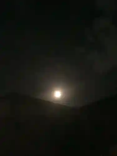 溝旗神社（肇國神社）の自然