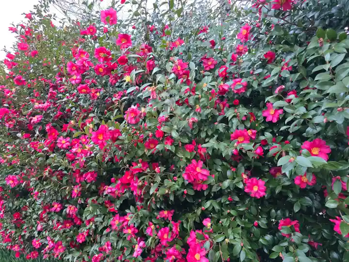 西梅津神明社(京都府)