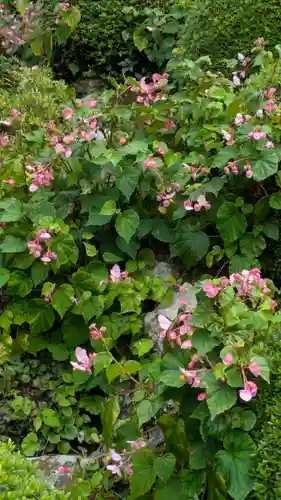 寂光院(京都府)