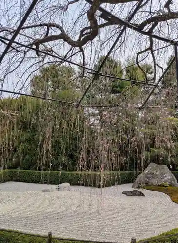 退蔵院(京都府)