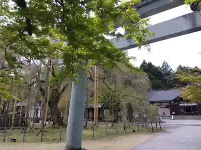 足羽神社(福井県)