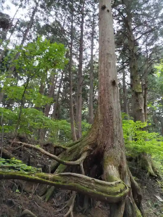 武蔵御嶽神社の周辺