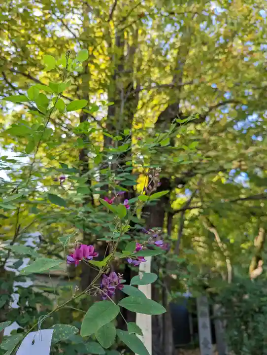 梨木神社(京都府)