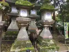 春日大社の建物その他