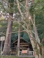 丹生神社(丹生川上神社中社摂社)の{uncategorized: "未分類", other: "その他", undefined: "問題あり", building: "その他建物", grave: "お墓", sacred_gate: "鳥居", guardian: "狛犬", statue: "像", buddha: "仏像", history: "歴史", nature: "自然", garden: "庭園", animal: "動物", pagoda: "塔", temizu: "手水舎", mountain_gate: "山門・神門", sanctuary: "本殿・本堂", subordinate: "末社・摂社", art: "芸術", scenery: "景色", jizo: "地蔵", ema: "絵馬", goshuin: "御朱印", omikuji: "おみくじ", items: "授与品その他", amulet: "お守り", goshuincho: "御朱印帳", eats: "食事", festival: "お祭り", votive_dance: "神楽", shichigosan: "七五三参", wedding: "結婚式", experience: "体験その他", initially: "初詣", around: "周辺", anti_infection: "感染症対策"}