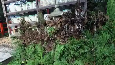 賀茂御祖神社（下鴨神社）(京都府)