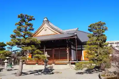妙蓮寺(京都府)
