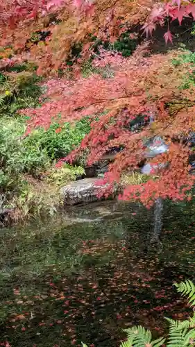 三宅八幡宮(京都府)