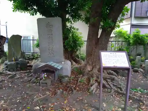 和田塚(神奈川県)