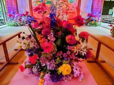 隨心院(随心院)(京都府)