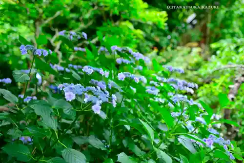 佛日庵(神奈川県)