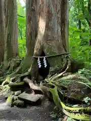 戸隠神社奥社(長野県)