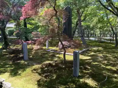 東福禅寺(東福寺)(京都府)