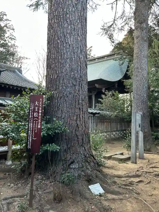 大宝八幡宮(茨城県)
