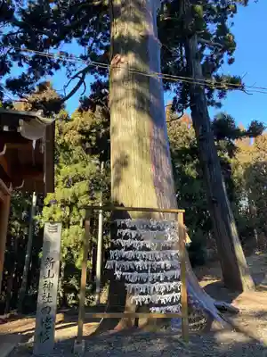 新山神社(宮城県)