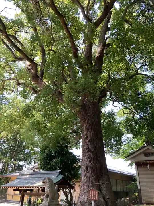 日枝神社の自然