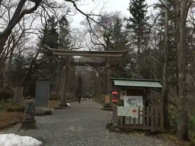 戸隠神社奥社の鳥居