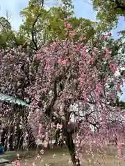 屯倉神社(大阪府)