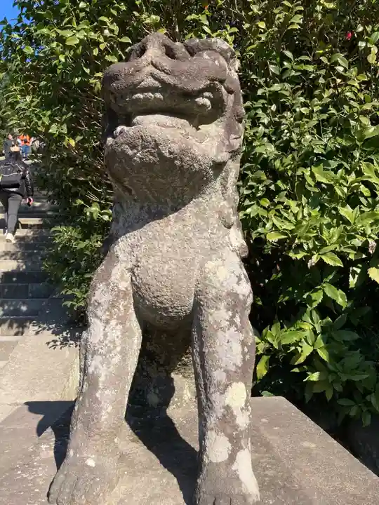 鶴岡八幡宮の狛犬