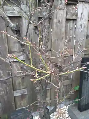 幸町辨財天(千葉県)