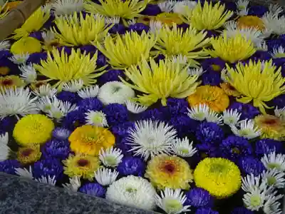 高円寺氷川神社の手水舎