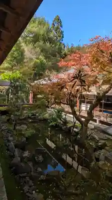 高山寺(京都府)