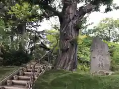 手稲神社の建物その他