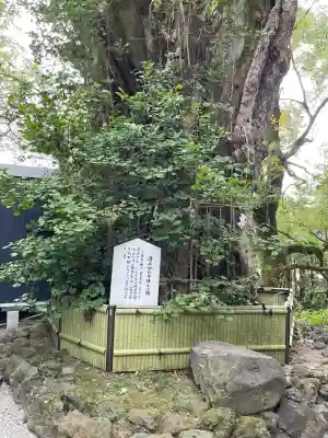 加藤神社(熊本県)