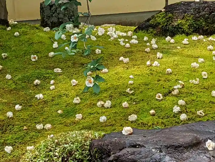 東林院(京都府)