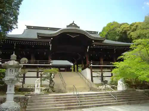 近江神宮の本殿・本堂