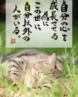 専念寺(大阪府)