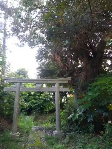 稲荷神社の鳥居