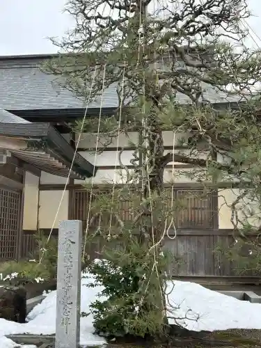 氣多大社の{uncategorized: "未分類", other: "その他", undefined: "問題あり", building: "その他建物", grave: "お墓", sacred_gate: "鳥居", guardian: "狛犬", statue: "像", buddha: "仏像", history: "歴史", nature: "自然", garden: "庭園", animal: "動物", pagoda: "塔", temizu: "手水舎", mountain_gate: "山門・神門", sanctuary: "本殿・本堂", subordinate: "末社・摂社", art: "芸術", scenery: "景色", jizo: "地蔵", ema: "絵馬", goshuin: "御朱印", omikuji: "おみくじ", items: "授与品その他", amulet: "お守り", goshuincho: "御朱印帳", eats: "食事", festival: "お祭り", votive_dance: "神楽", shichigosan: "七五三参", wedding: "結婚式", experience: "体験その他", initially: "初詣", around: "周辺", anti_infection: "感染症対策"}