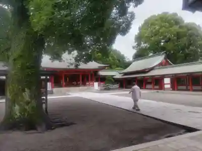 藤崎八旛宮(熊本県)