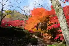 勝持寺（花の寺）(京都府)