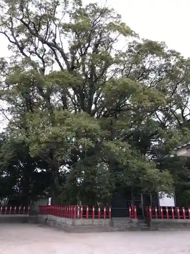 一之宮神社の自然