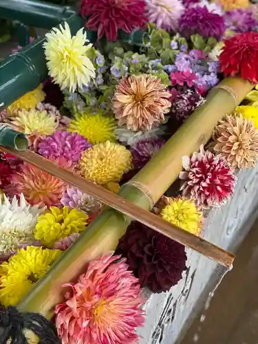 伊和志津神社(兵庫県)