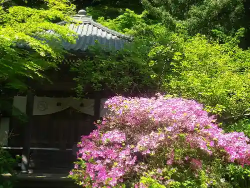 安國論寺（安国論寺）の自然