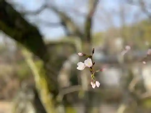 伊勢の国 四天王寺の自然