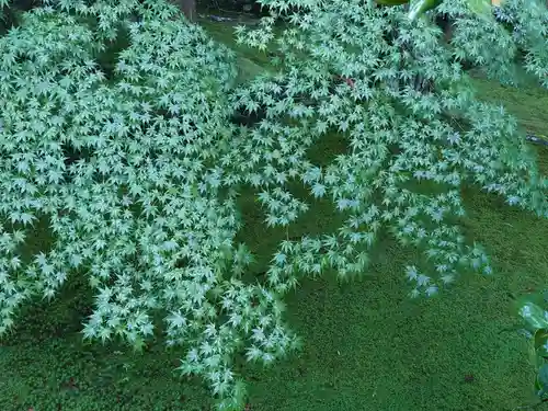 慈照寺（慈照禅寺・銀閣寺）(京都府)